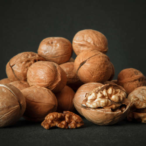 English Walnut Extract - 10ml