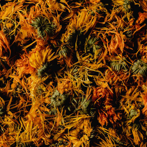 Dried Orange Flowers - 60g