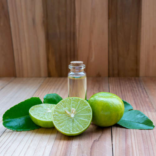 Lime Essential Oil - 10ml