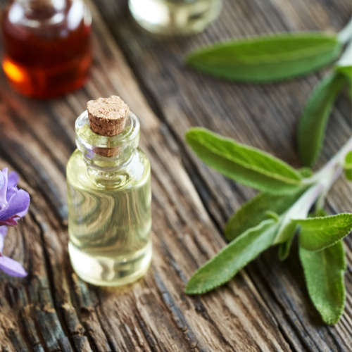 Sage Essential Oil - 10ml