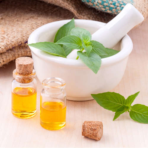 Organic Basil Essential Oil - 10ml