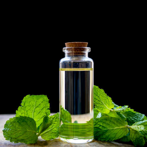Spearmint Essential Oil - 10ml