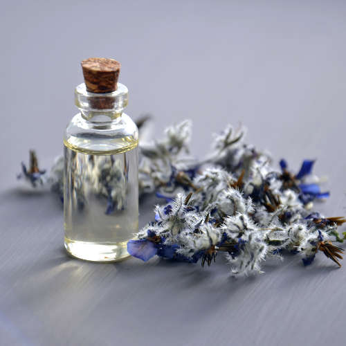 Lavender Angustifolia Essential Oil - 11ml (NA)