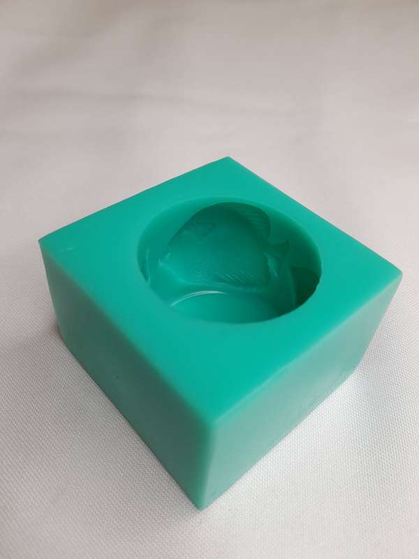 Coral Fish Silicone Mould