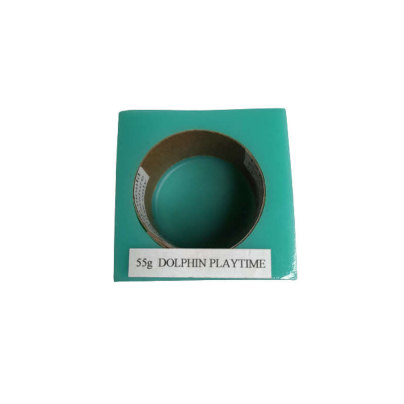 Dolphin Playtime Silicone Mould