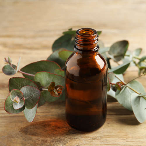 Eucalyptus Essential Oil - 10ml