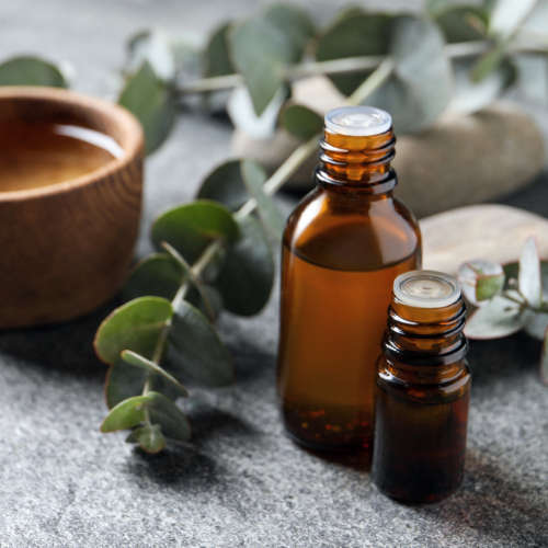 Eucalyptus Smithi Essential Oil - 10ml