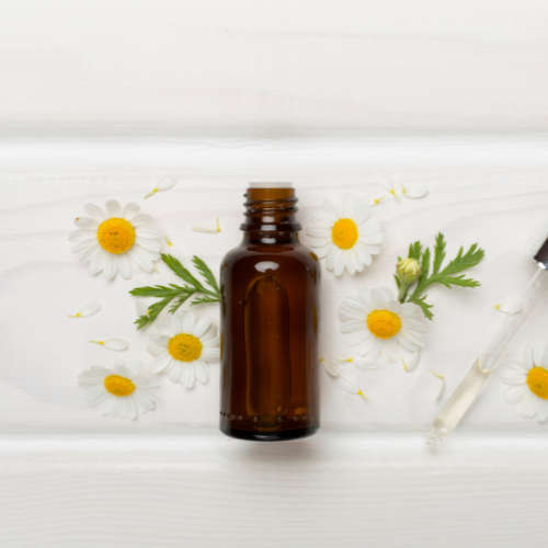 Chamomile Fragrance Oil - 50ml