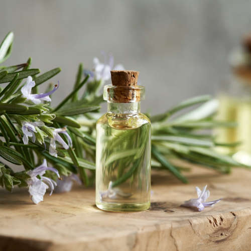 Rosemary Essential Oil - 10ml (W)