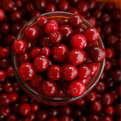 Cranberry Fragrance Oil - 1L