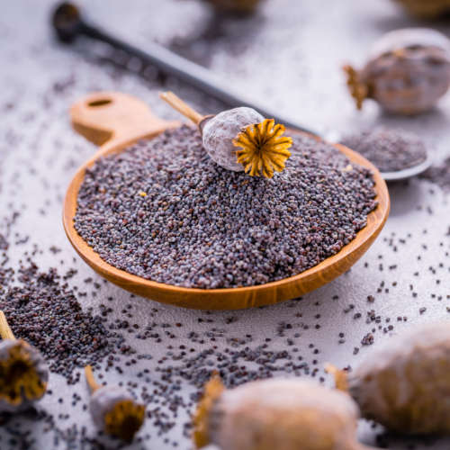 Poppy Seeds - 1kg