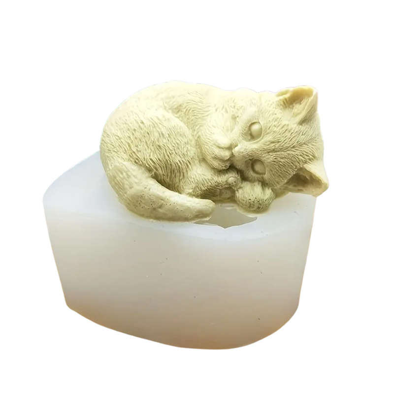 Sleepy Cat Mould