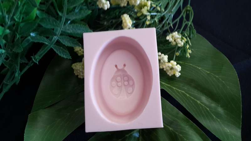 Lady Bug Soap Mould - 45g