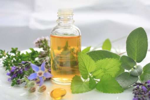 Arnica Essential Oil with Lavandin & Rosemary - 10ml