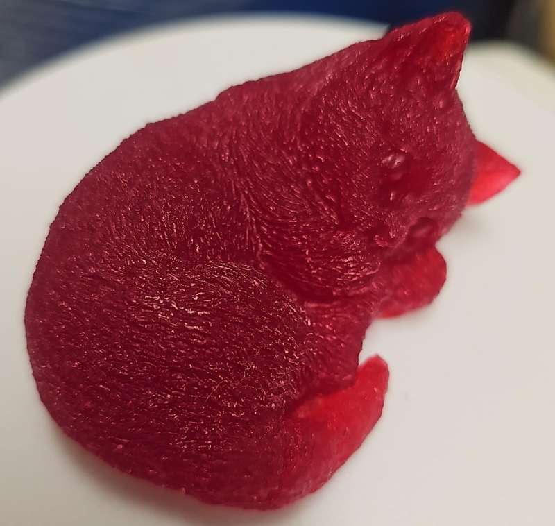 Sleepy Cat Mould