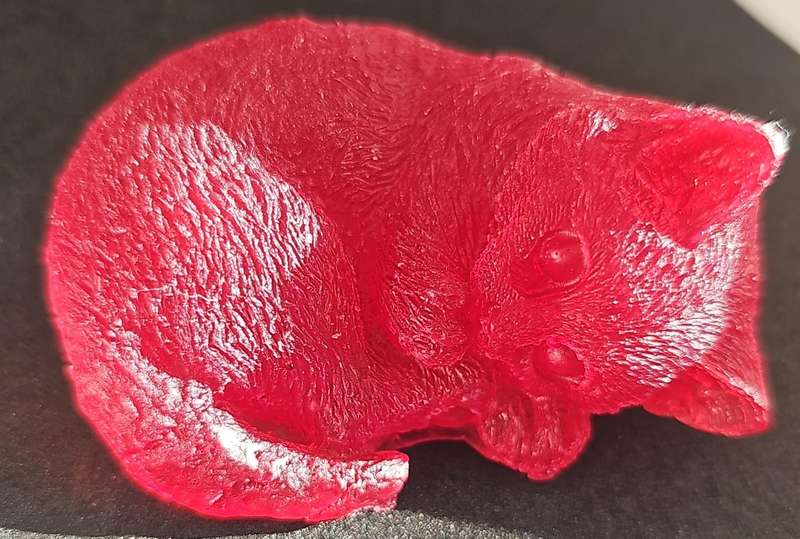 Sleepy Cat Mould