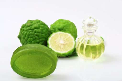Bergamot Carrier Oil - 5L