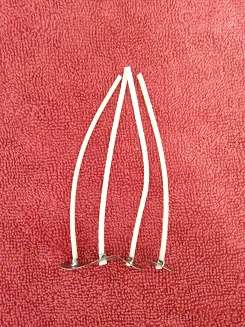 Single Soy Wick in Sustainer