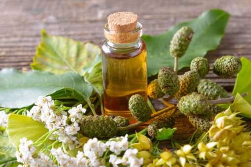 Wheatgerm Fragrance Oil - 50ml