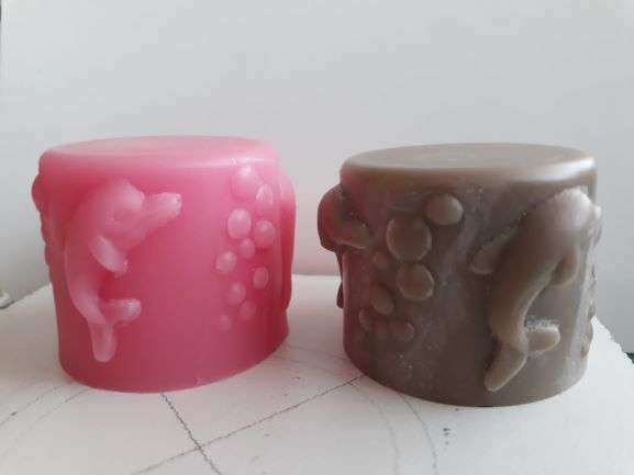 Dolphin Playtime Silicone Mould