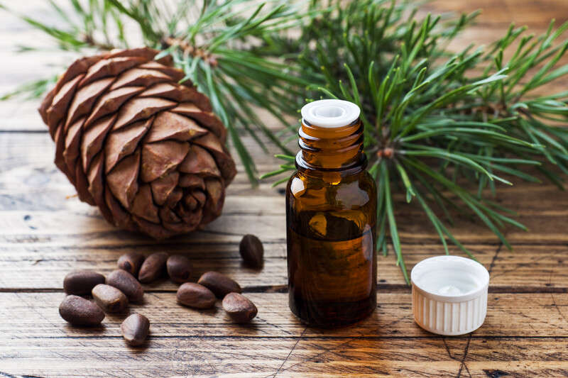 Cedarwood Fragrance Oil - 10ml