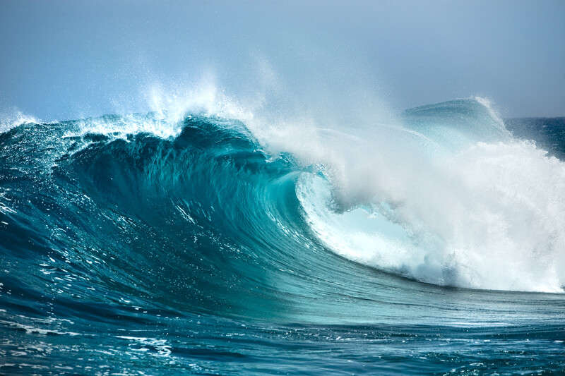 Ocean Mist Fragrance Oil - 1L
