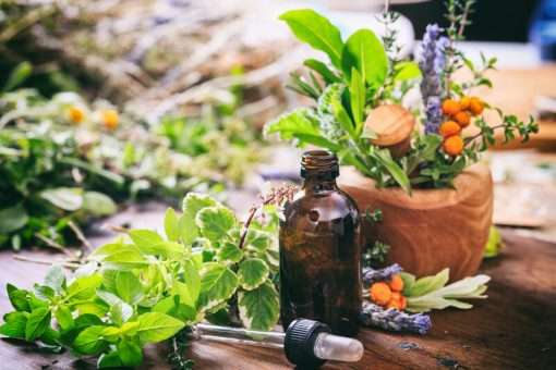Citronella Essential Oil - 10ml (W)