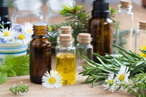 Camphor Essential Oil - 10ml (NA)