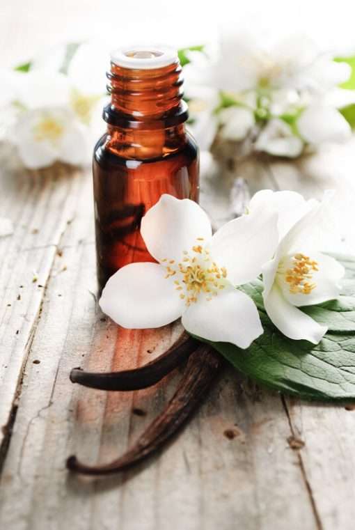 Jasmine Fragrance Oil - 50ml