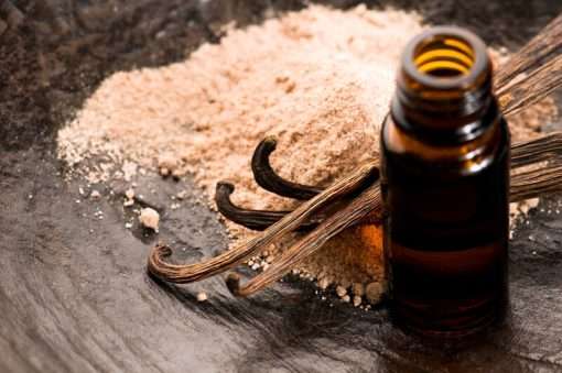 Vanilla Fragrance Oil - 500ml (N)