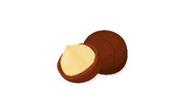 Macadamia Butter - 250g