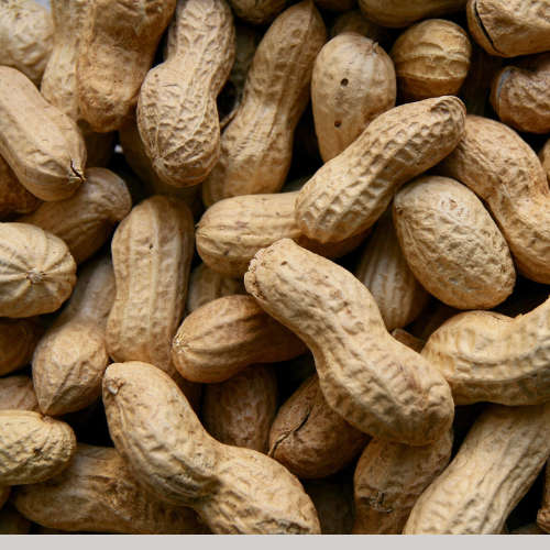 Peanut Flavouring - 10ml