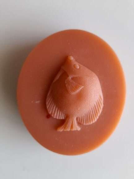 Coral Fish Silicone Mould