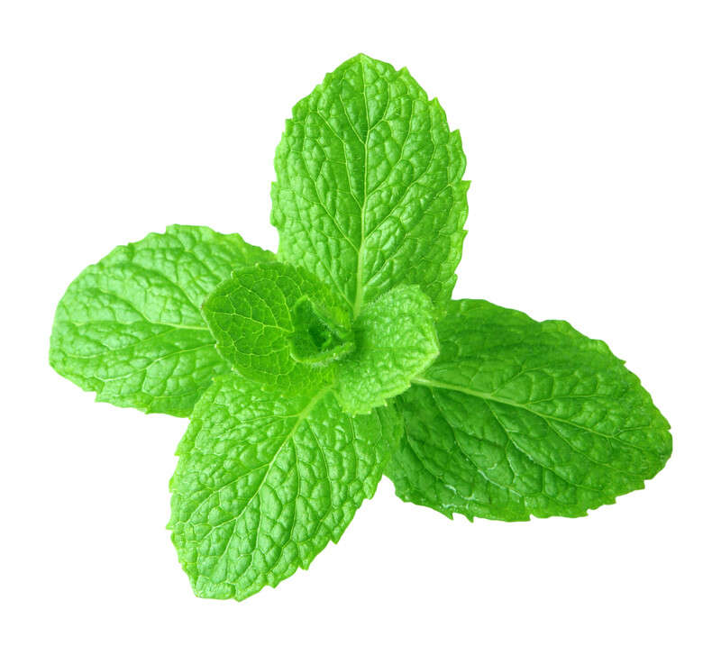 Spearmint Flavouring - 10ml