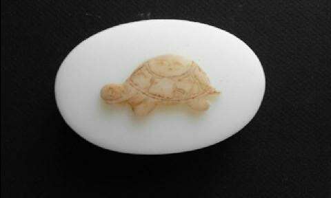 Tortoise Silicone Mould