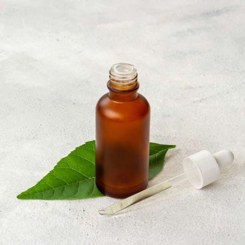 Tea Tree Hydrosol (Organic) - 50ml