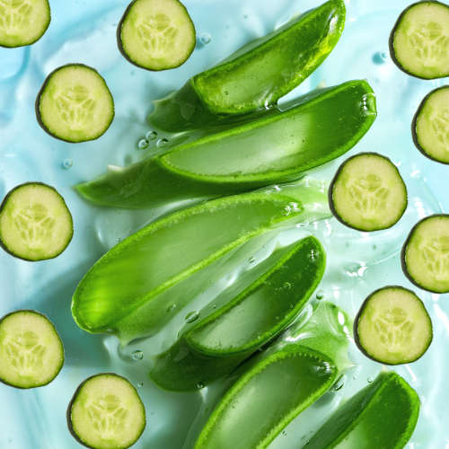 Aloe Cucumber Fragrance Oil - 10ml