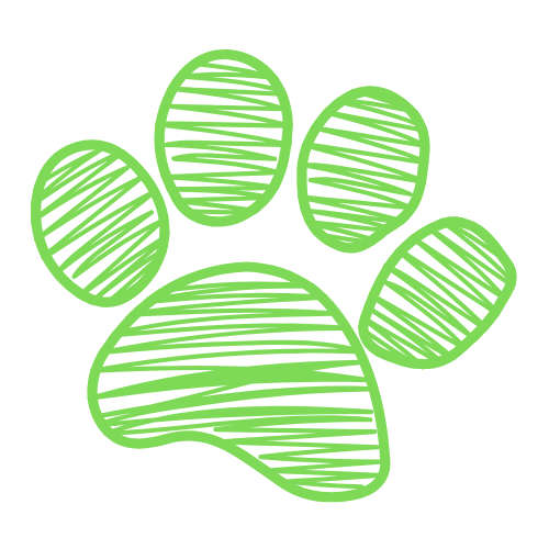 Raffle ticket- SPCA