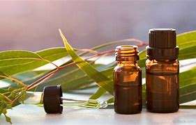 Eucalyptus Globulus Pure Essential Oil (Organic)