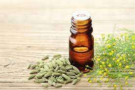 Fennel Essential Oil
