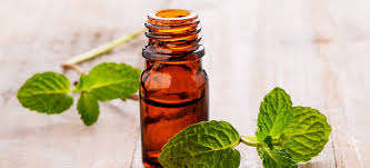 Peppermint Pure Essential Oil (Conventional)