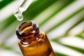 Sassafrass Essential Oil