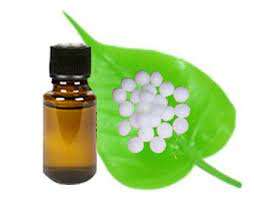 Camphor Essential il