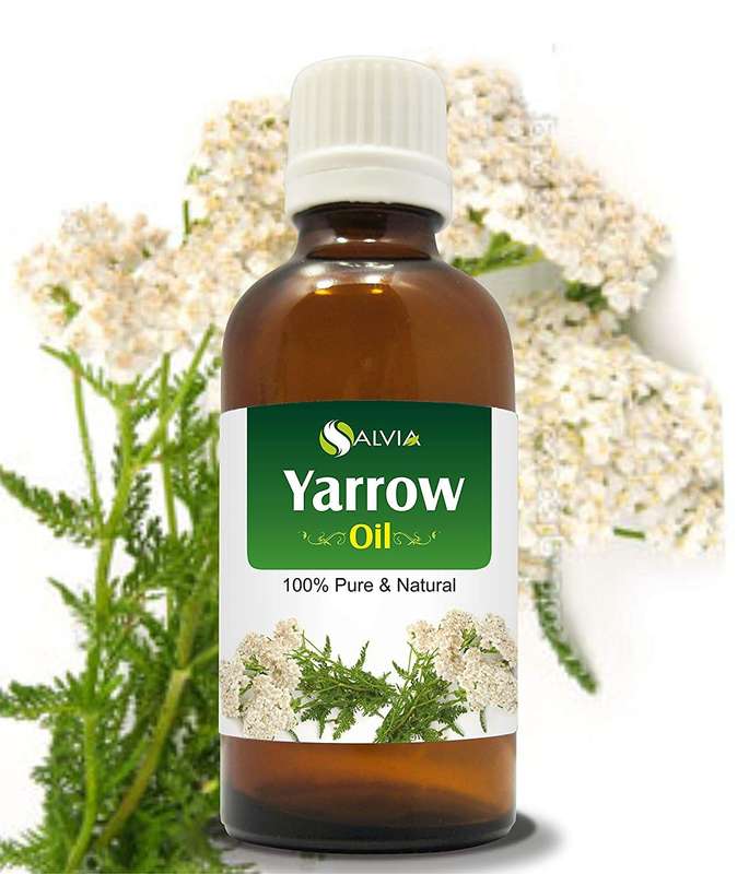Yarrow Essential Oil 1Kg