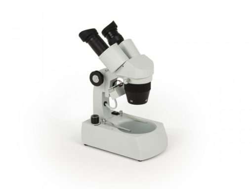 Microscope