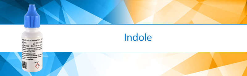 Rapid Indole Reagent 500ML