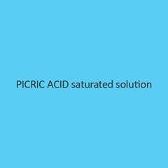 Picric Acid Saturated Solution 1Lt