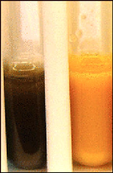 Alizarol 72 Milk Test Indicator