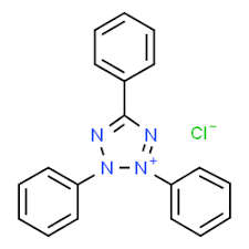 Triphenyltetrazolium Chloride 250ml