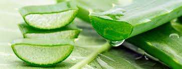 Aloe Vera Natural Concentrate (10:1)